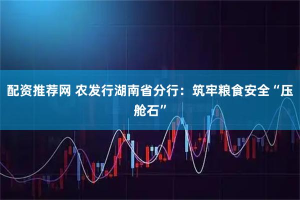 配资推荐网 农发行湖南省分行：筑牢粮食安全“压舱石”