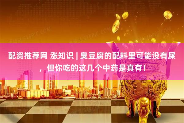 配资推荐网 涨知识 | 臭豆腐的配料里可能没有屎，但你吃的这几个中药是真有！